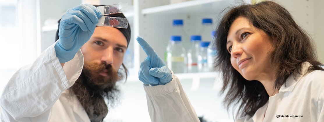 Its about time we started tweeting...

Our paper on a central role for histone variant chromatin in the mammalian circadian clock mechanism is out in Nature Structure &amp; Molecular Biology.
rdcu.be/cN9Ui

Kudos to Francesca and Kevin (pictured) and all co-authors!