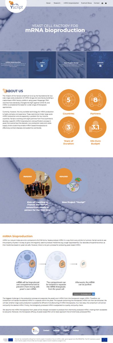 🥳 #Yscript is proud to present our brand new website❗️ 🪩 Here we introduce our consortium, explain what the #yeast factory for #mRNA #bioproduction 🧪🔬🧬 is all about and keep you up to date with the latest developments of our project❗️ Have a look❗️👉 yscript.eu