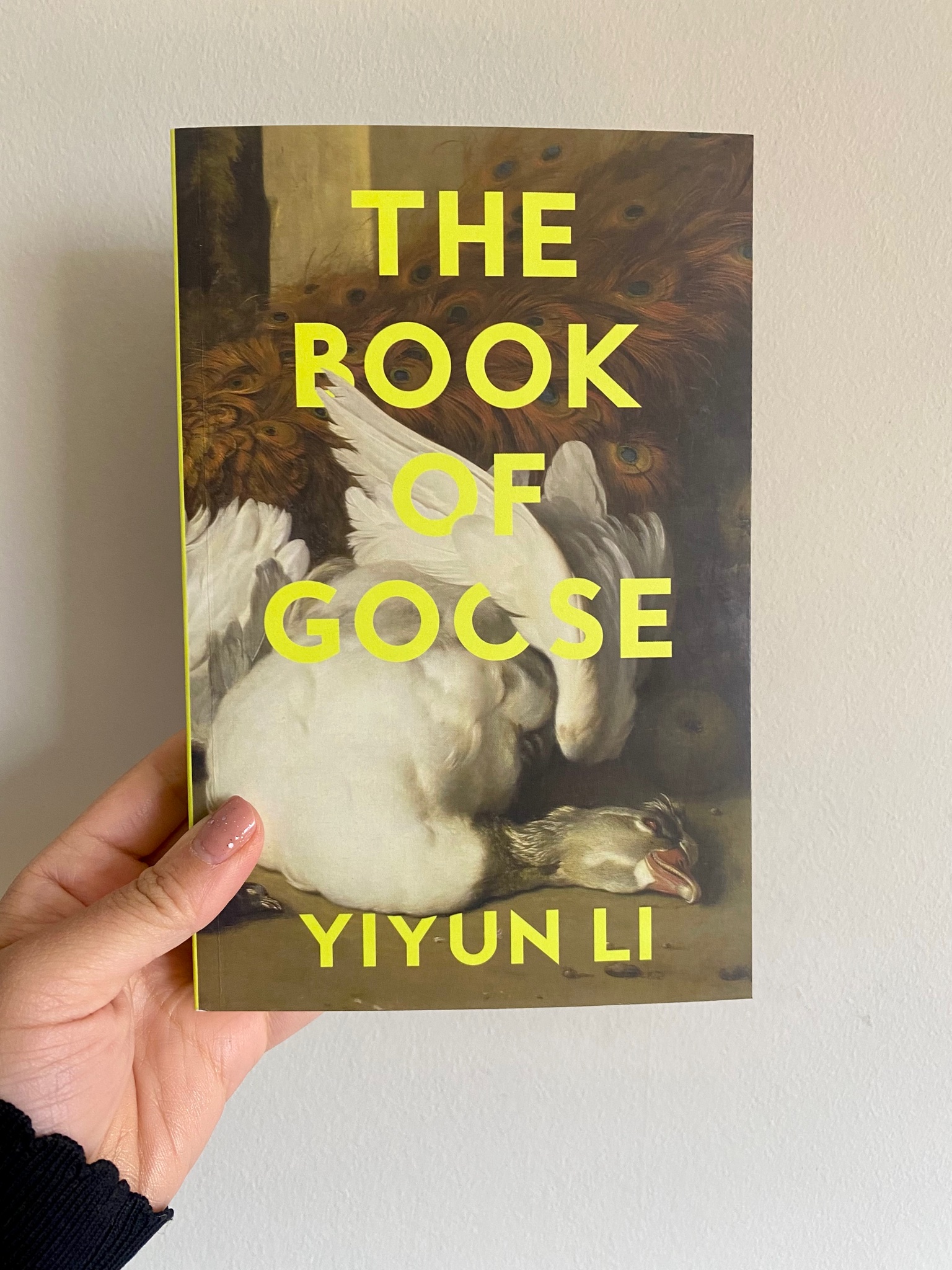 The Book of Goose