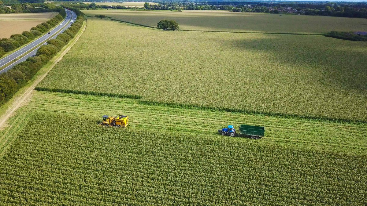 LEAF_Education's tweet image. Shining a spotlight on the #technology used in modern farming. #Innovative #TechyThursday #FarmingFortnight🧑‍🌾🚜
countrysideclassroom.org.uk/farming-fortni…

@educationgovuk @NaturalEngland @DefraGovUK