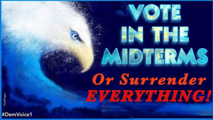 AllMemes78's tweet photo. #VoteBlue #VoteThemAllOut #VoteBlueIn2022 https://t.co/Nn54uWr26C