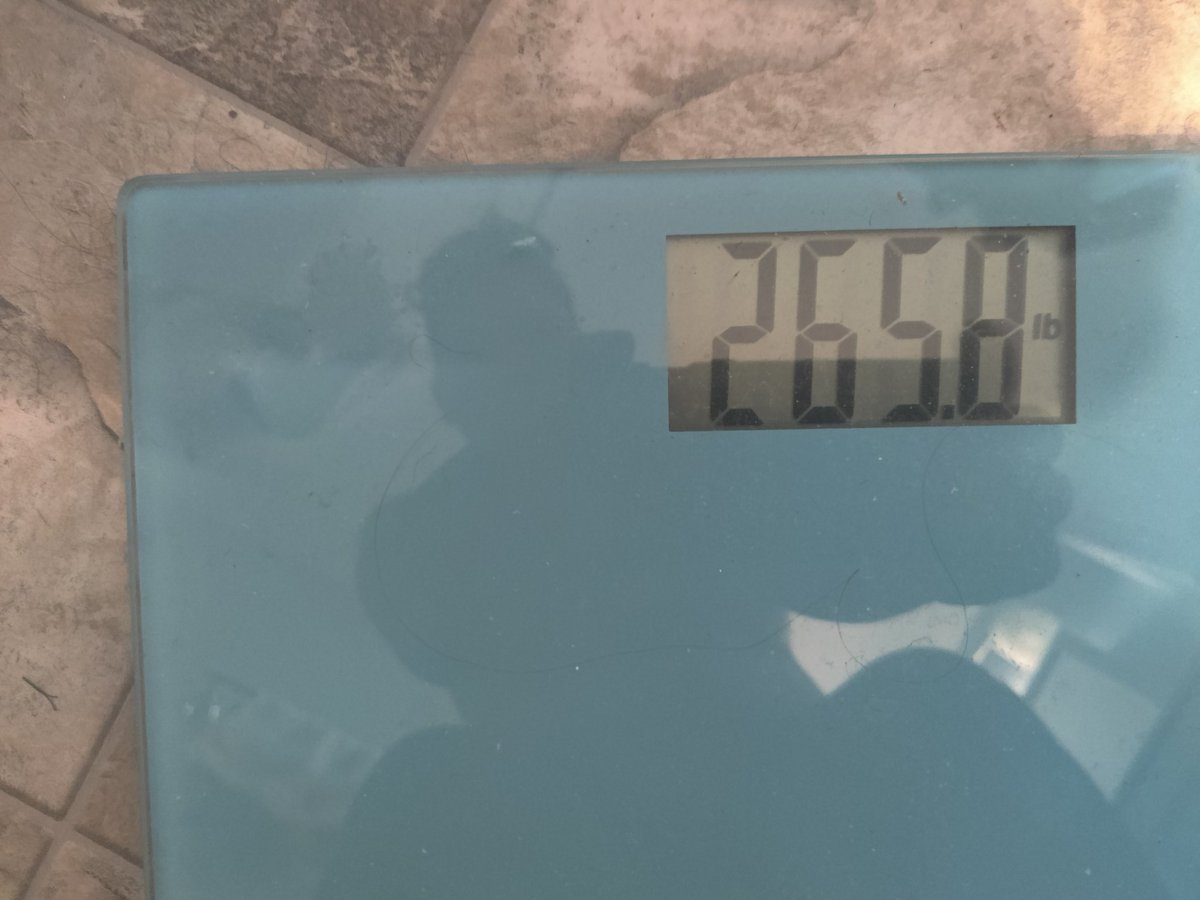 kyleexpress's tweet photo. Morning my lovely #TtrpgCommunity

CW: Weightloss

Beginning week 3 of #ThorChallenge 

Progress and consistency!! https://t.co/HXRJ9rixoy