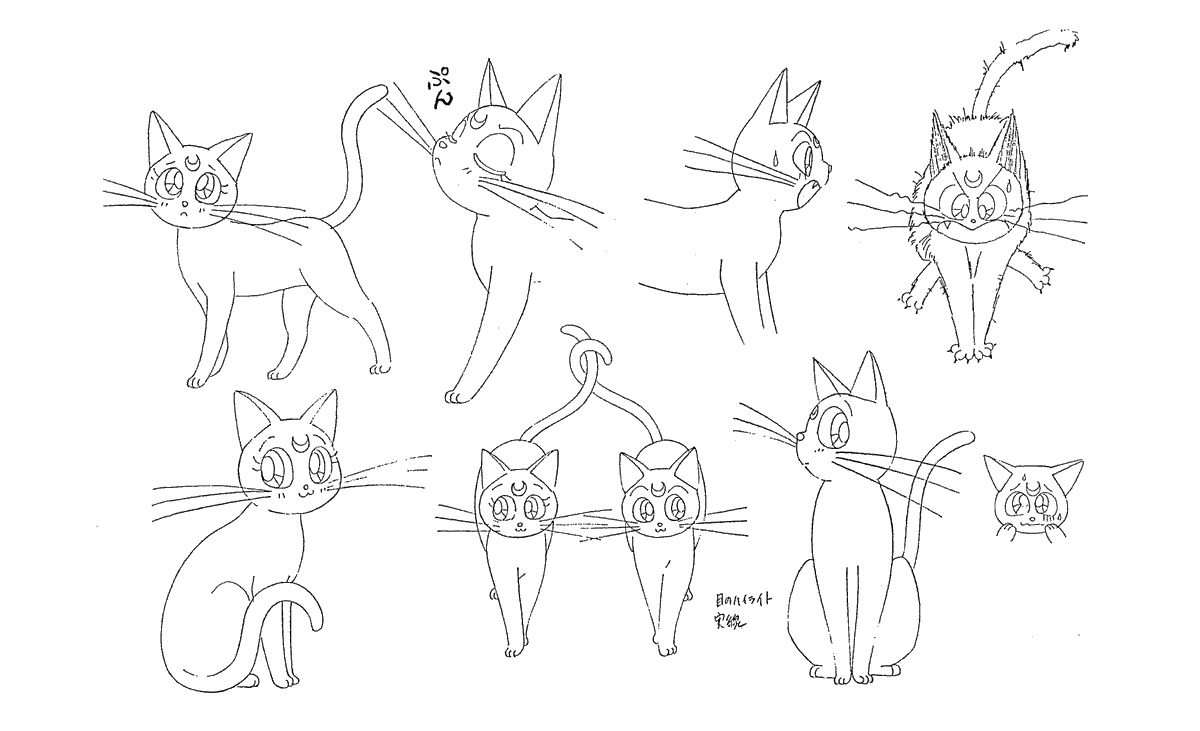 ani_obsessive's tweet photo. Character design work for Sailor Moon (1992–1993), dir. Junichi Sato, Toei Animation

Characters designed by Kazuko Tadano https://t.co/DGqTpc6eLy