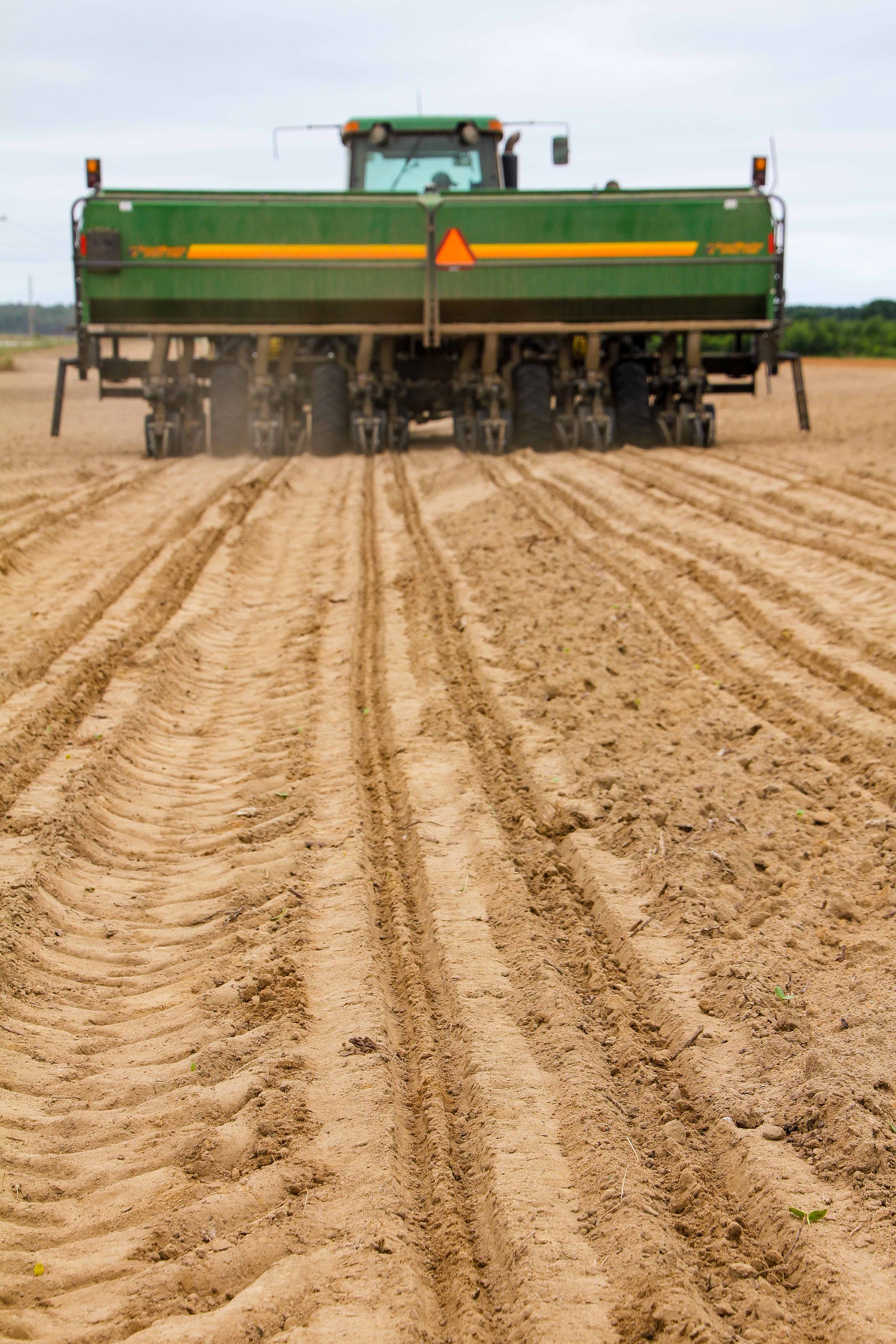 Virginia Carolinas Peanuts (VC_Peanuts) / Twitter