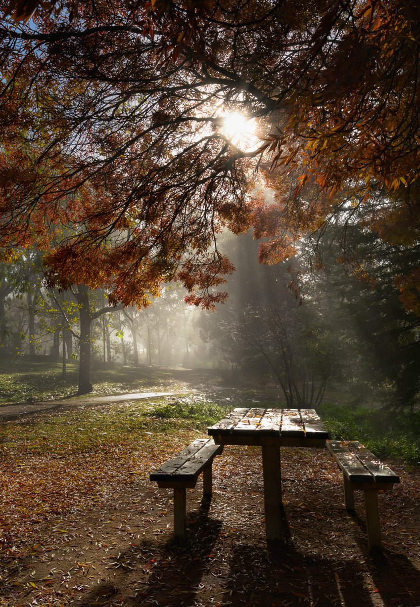 Vicki-Louise 🇦🇺 tweet media