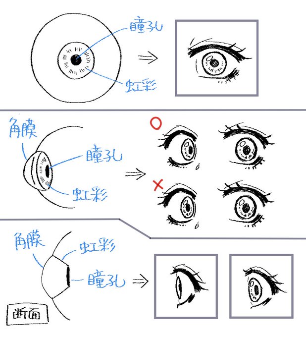 瞳の構造のtwitterイラスト検索結果