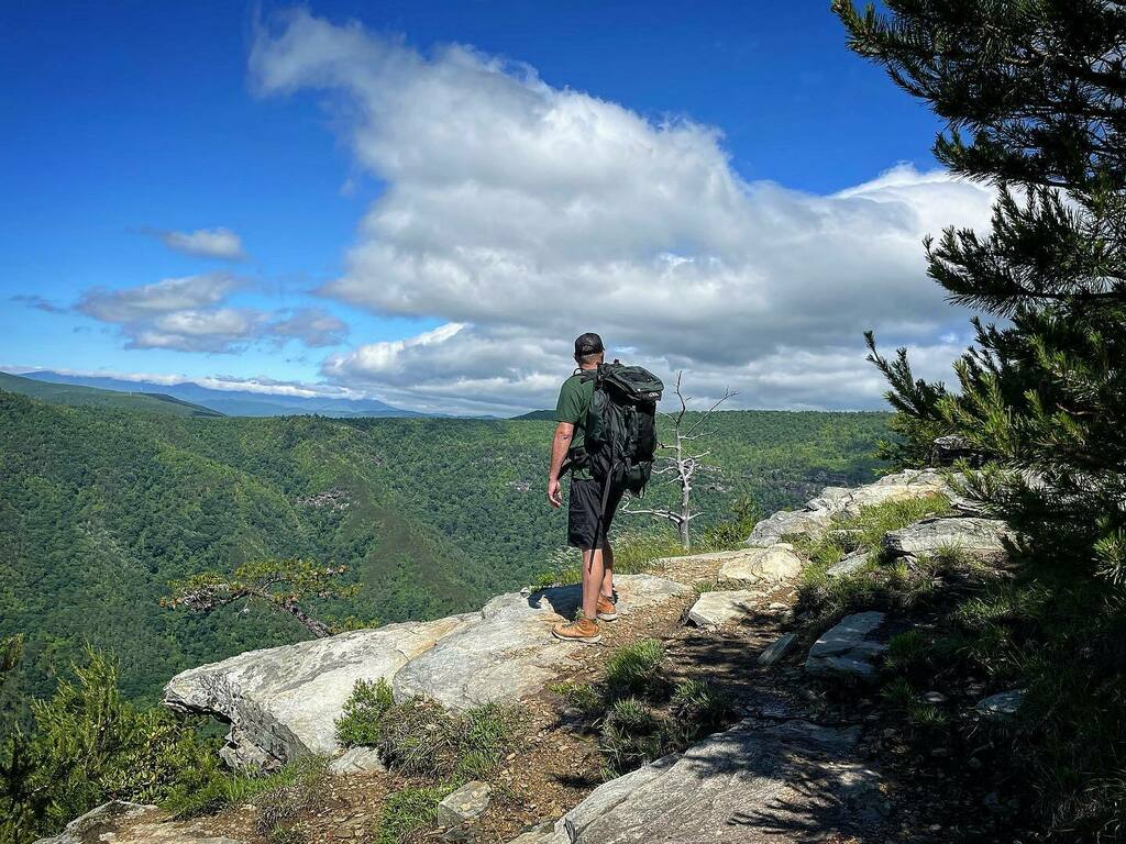 Cape Fear Gear tweet media