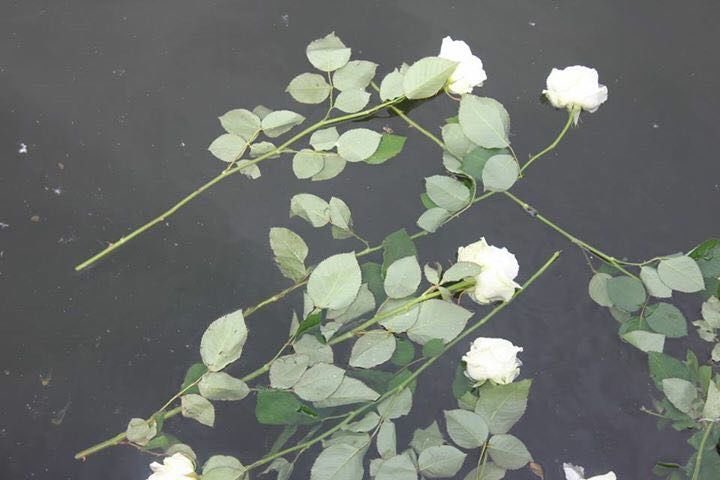 BosnianHistory's tweet photo. On May 31st, all non-Serbs in #Prijedor were ordered to mark their houses with white flags and to wear a white armbands in public. 

Over 3,000 killed and the internment of 30,000 people in concentration camps and mass expulsions of over 50,000 people. #NeverForget 🏳️⚪️ https://t.co/zrlDeQ8Uth