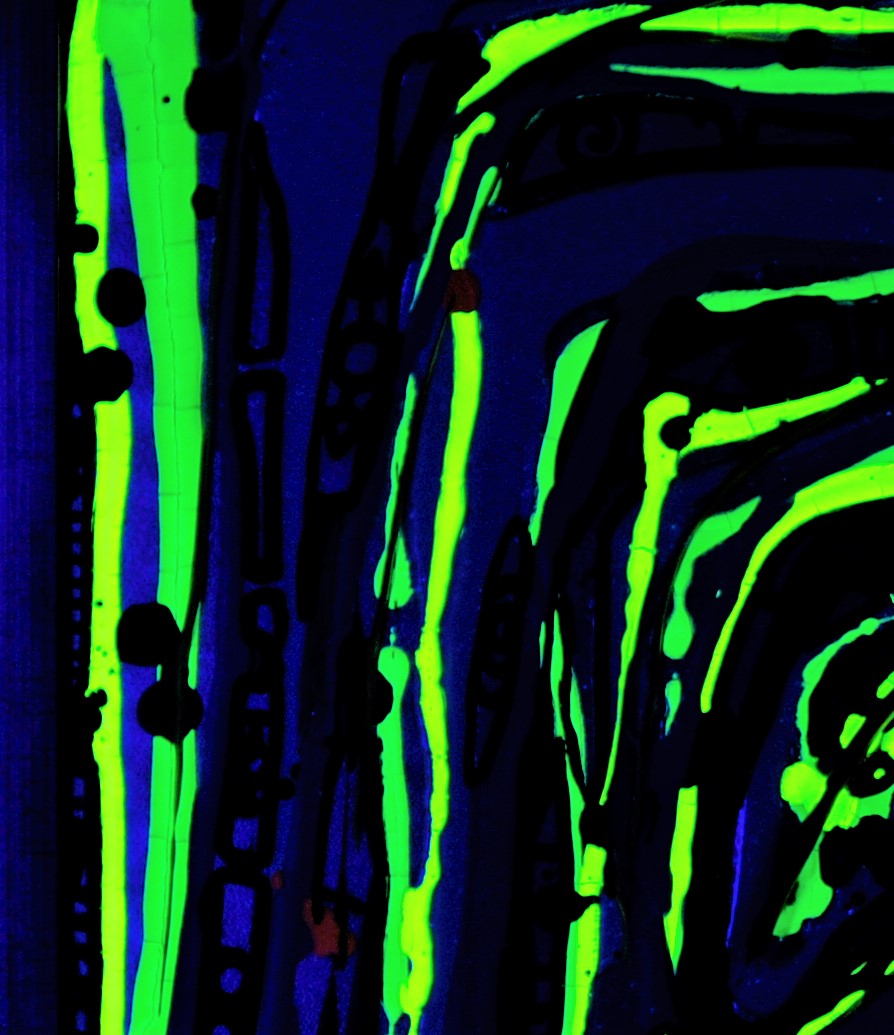 LEMINXART's tweet image. "Jungle fibers long warranty" collectible! rarible.com/token/0xB66a60… #rarible #ethereum #nonfungible #digitalasset #nft prostredníctvom @rarible