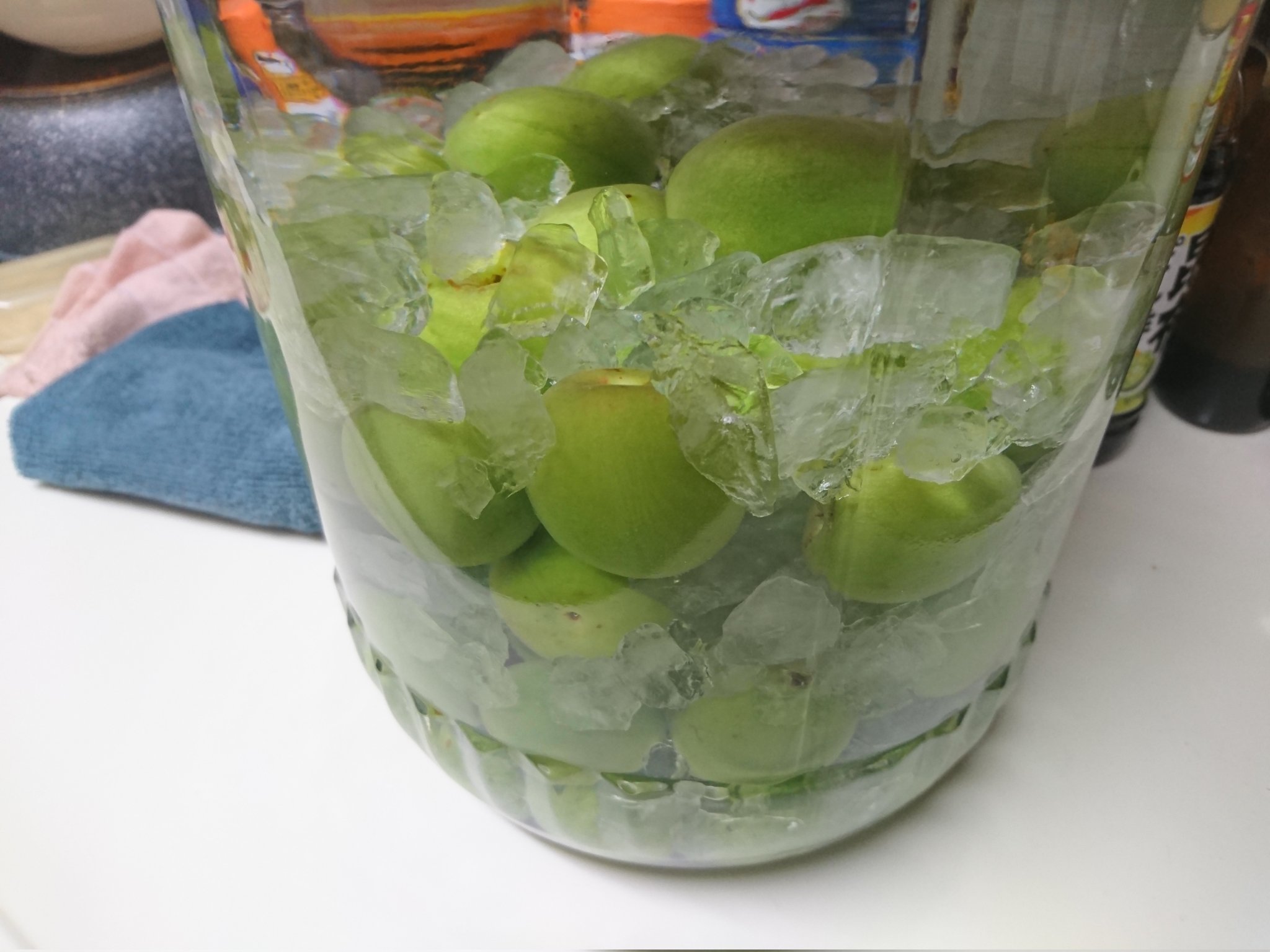 See Shibano Usagi S Tweet Twitter See Shibano Usagi S Tweet Twitter