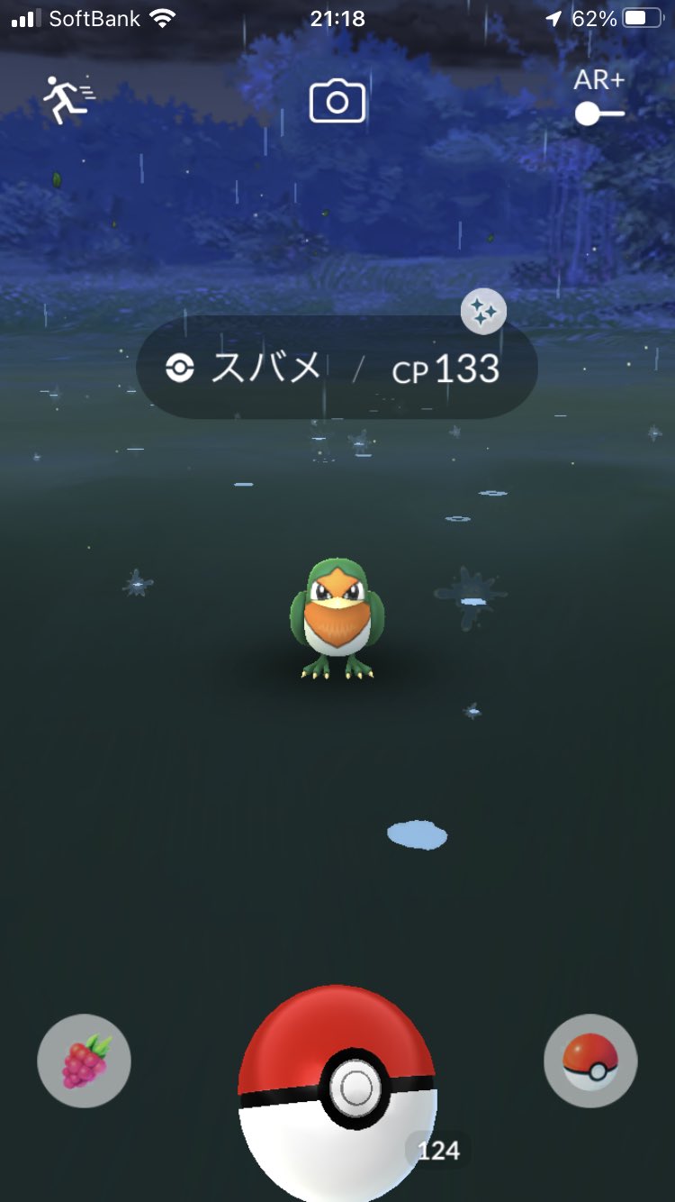 まろん Tl40になった記念か久しぶりの色違い プラチナの時焼き鳥型で育ててたの思い出した 懐かしい ポケモンgo 色違い T Co Enfuyjfpya Twitter