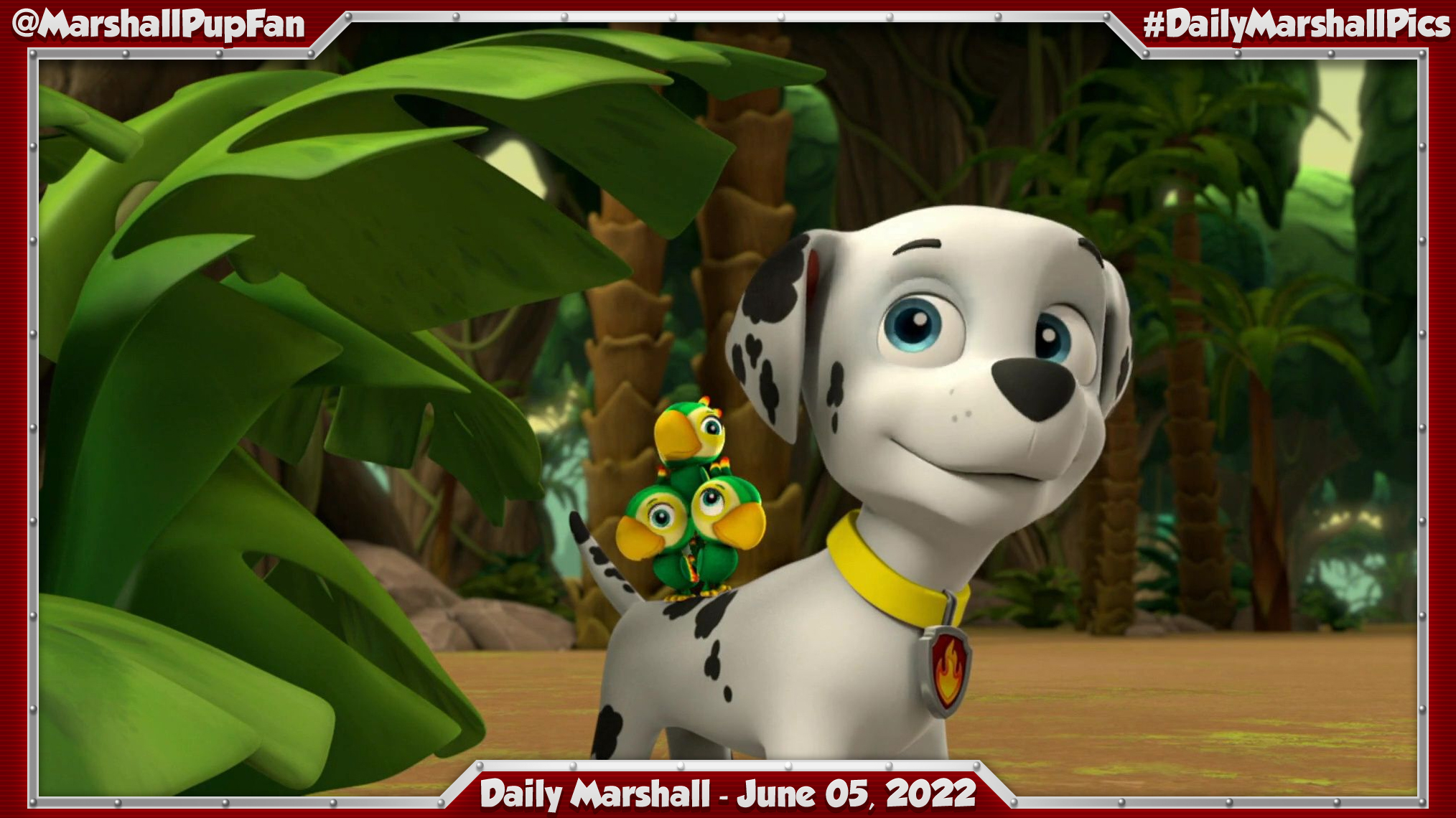 Marshall Pup Fanatic on Twitter: Marshall Pup Fanatic on Twitter: