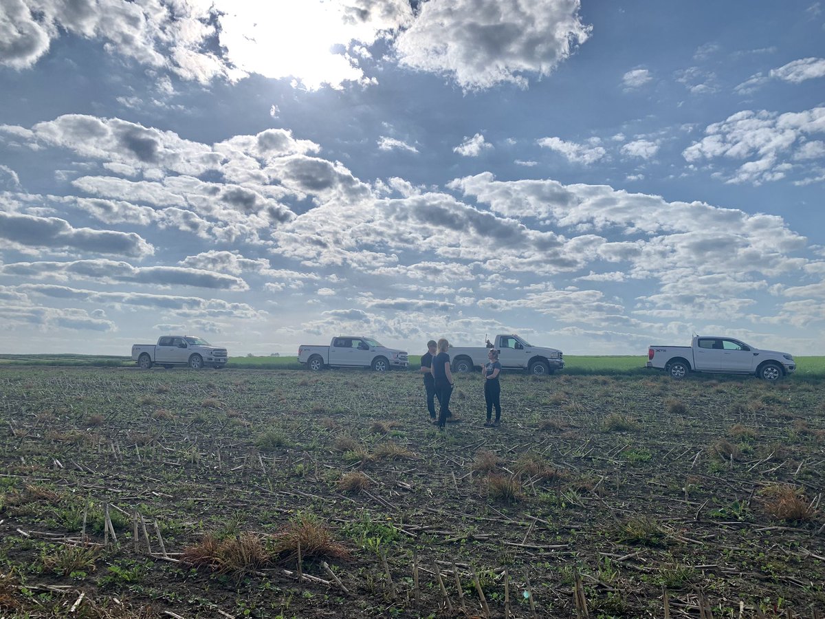Quick meeting to get all the scouts on the same page! Big week for scouting fields before the sprayers roll through! #cleanfieldshigheryields