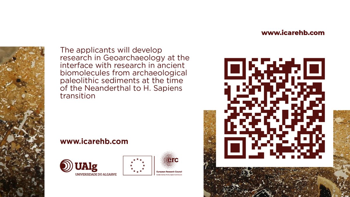 📢Come and work with me @ICArEHB @ERC_Research MATRIX project. 2 funded PhD fellowships to work on Geoarchaeology and biomolecules at the Middle to Upper Paleolithic transition in Europe. See more info👇 icarehb.com/phd-fellowship… Deadline=July 12 #Archaeology