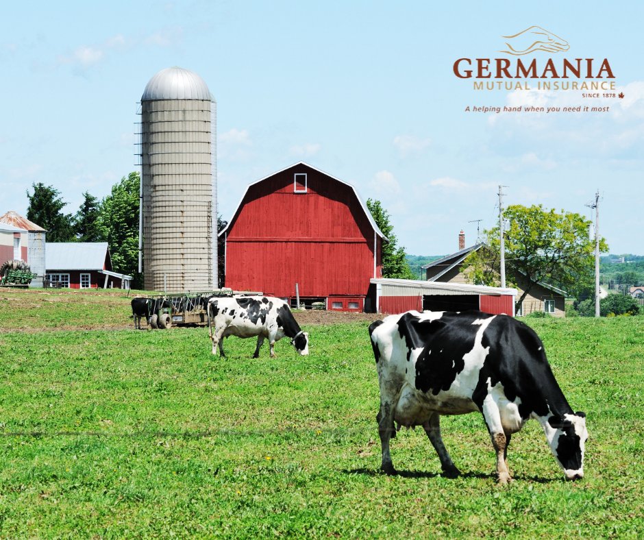 GermaniaMutual's tweet photo. Todayβs dairy operations are more sophisticated than ever. Thatβs why you need the added features Germania has developed as agri-business experts.
Talk to your agent or broker about our Dairy Program.
#tuesdaytip #InYourCommunityForYourCommunity #AHelpingHandWhenYouNeedItMost https://t.co/Q2zc5ilaJE