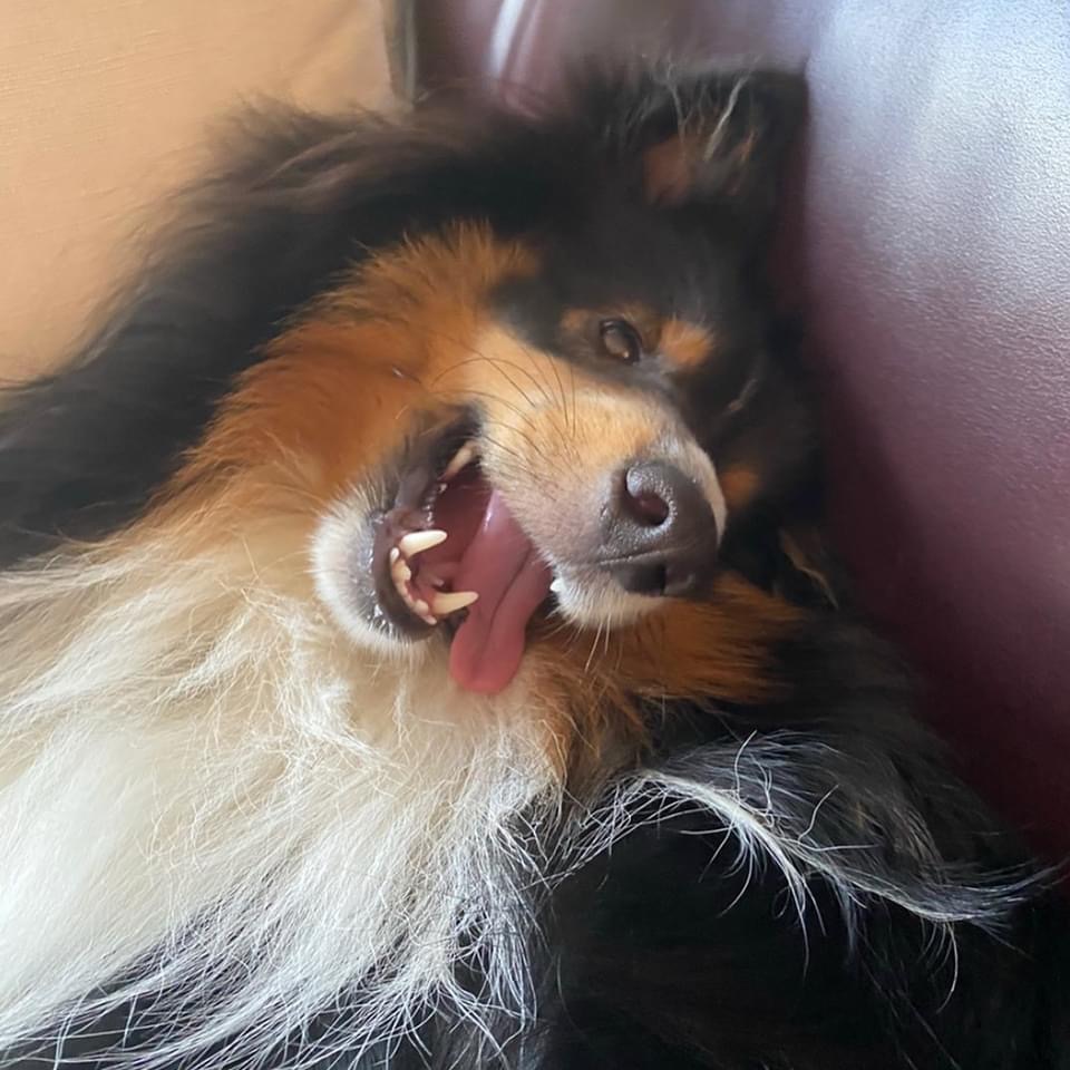 MsCCGaspar's tweet photo. @lolacoaster I paid $150 to be told he was "being a little bit dramatic about this whole thing." (He was hit in the eye with a toy and wouldn't open it unless he was playing and forgot about it.) https://t.co/5yOKzNVaBx