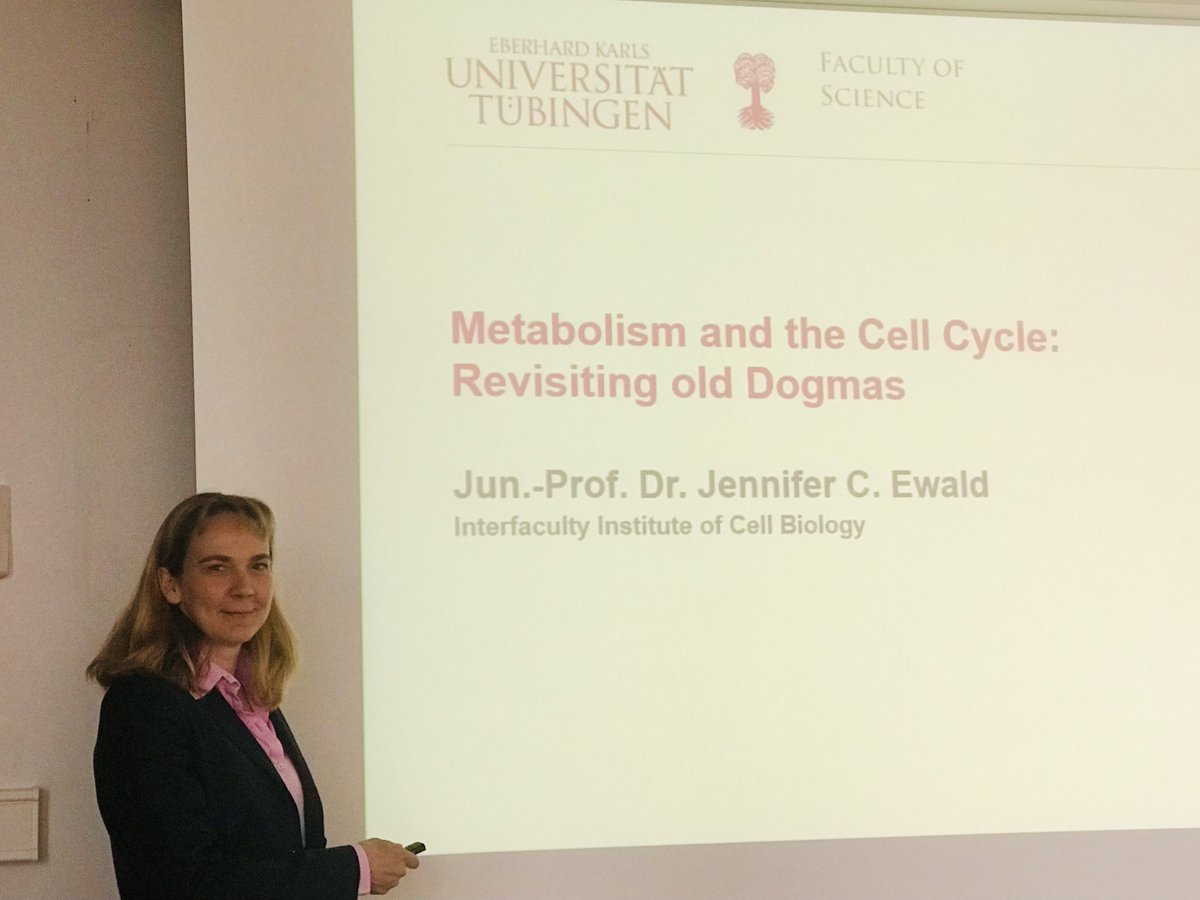 Jennifer Ewald @EwaldLab right before her tenure track evaluation. Go, Jenny 💪🍀🍾 #womaninscience #cellcycle