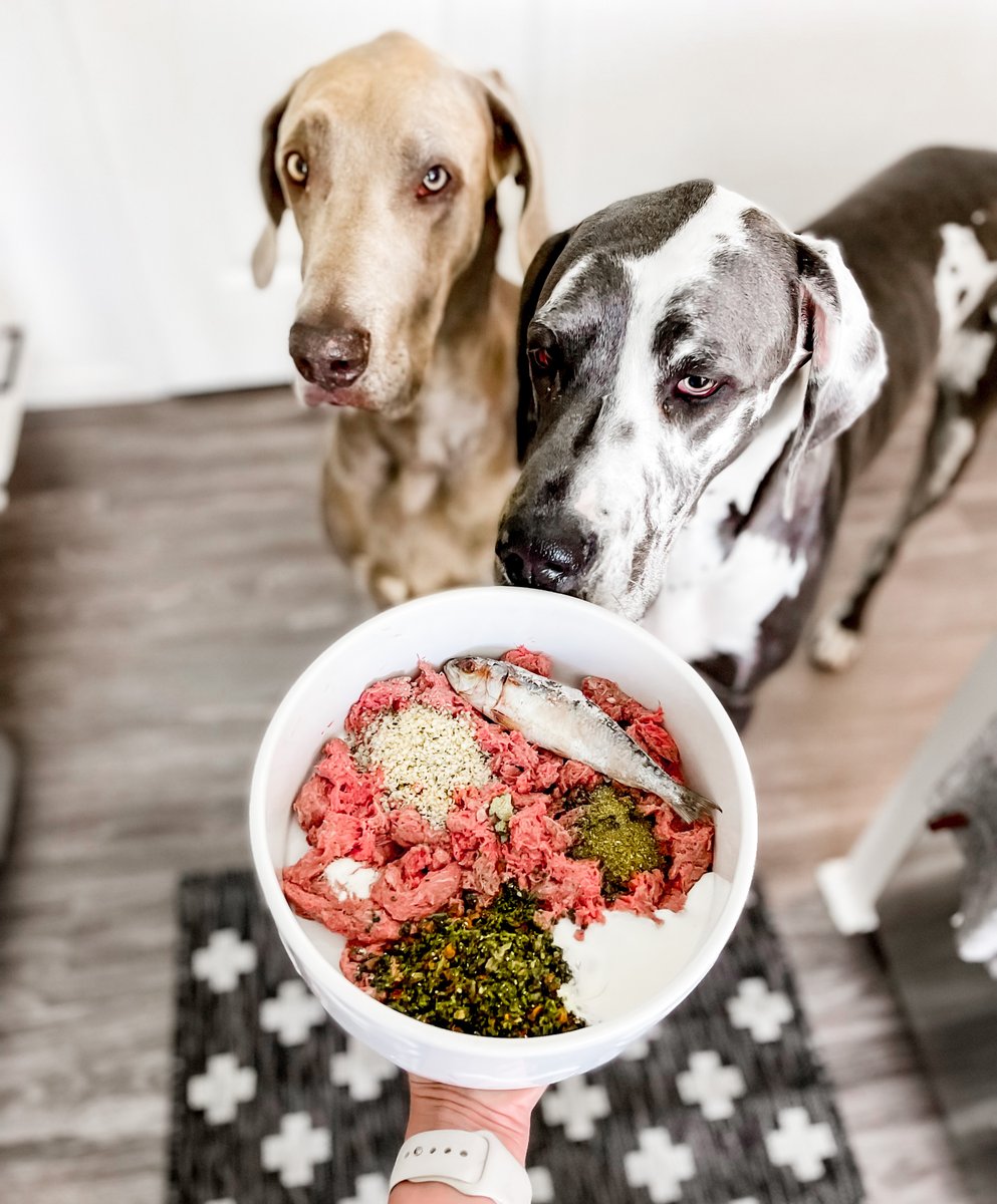 Dr. Harvey tweet media