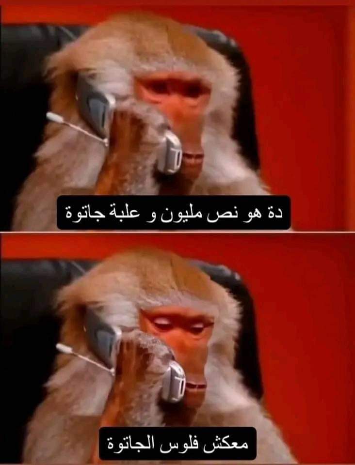 😂😂😂