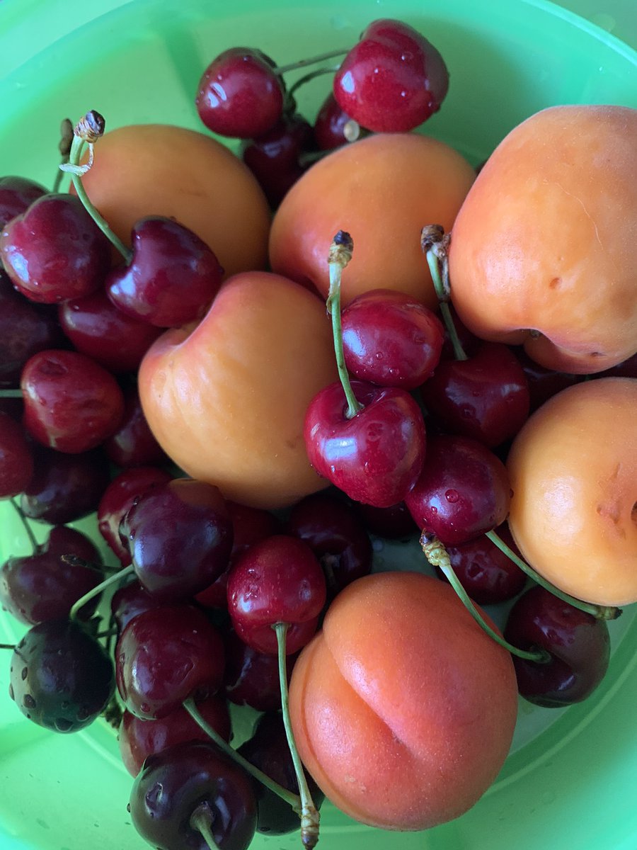 missaglia_sara's tweet photo. Dal cibo al vino, come abbinare il vino al piatto: la terza puntata del Rumtopf, il liquore di frutta e rum che si prepara di mese in mese: maggio รจ il mese di ciliegie e albicocche!!!๐
.
โก๏ธ qui il reel ๐ฌ
https://t.co/nyPut7ZfZg
.
#abbinamentiperfetti
#rumtopf
#wineoneway
#WoW https://t.co/JMSDAO68Bm