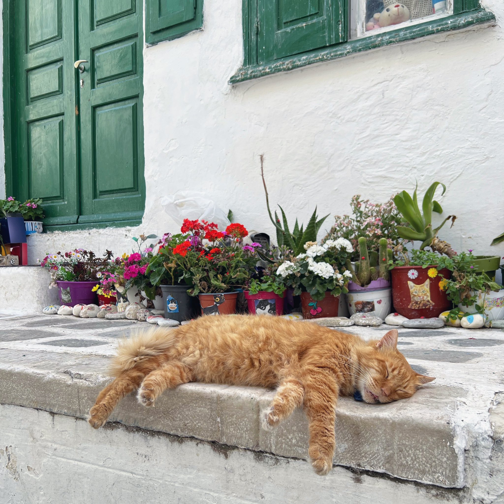 3 pic. ⁿᵉᵛᵉʳ ˡᵉᵃᵛˡⁿᵍ 🧿🤍🇬🇷🌀 https://t.co/v3LDJjrmxg