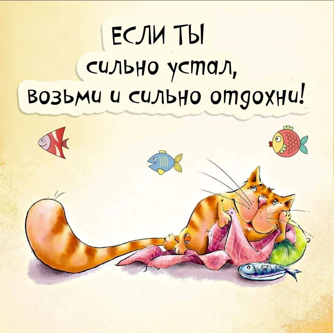 Tasha (@tashamoc) on Twitter photo 