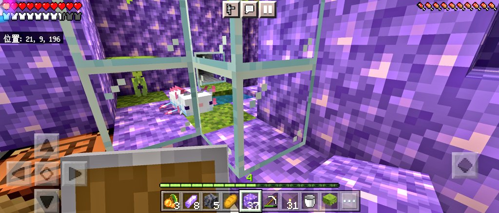 マイクラのウーパールーパーが水槽から逃げる 消える原因はバグなのか Erin Line Blog