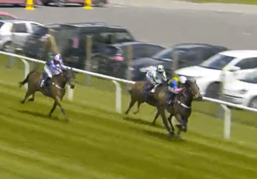 club_irc's tweet photo. ANOTHER CRACKING IRC WINNER!
Doc Sportello (11-1) wins at Brighton
Join us, we're having plenty of fun!
https://t.co/QE41rmmUkg
#irchorses #ircrunners #docsportello #tonycarrol #internationalracingclub https://t.co/65psh65afo
