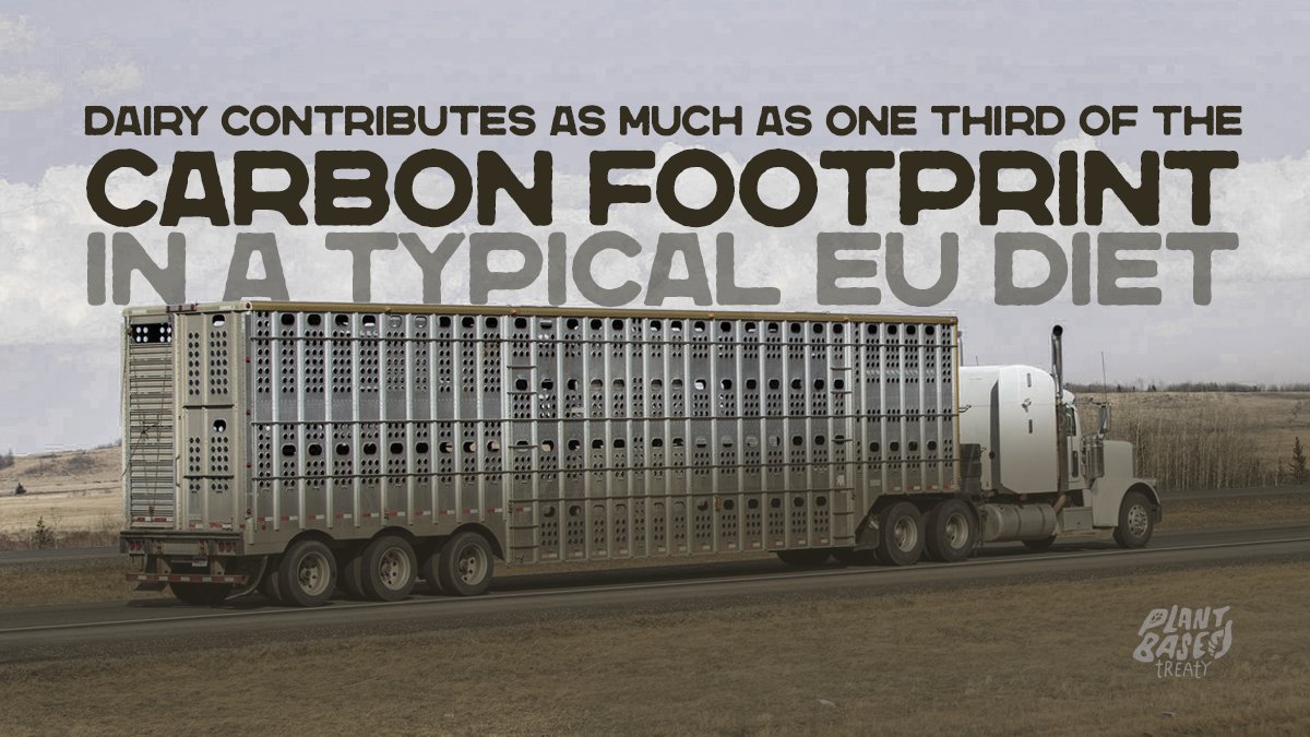 Cow’s milk is far worse for the environment than all the plant-based milk. ⠀
⠀
Every time we purchase cow’s milk, we are paying an industry that is destroying our planet.🌏

#EnjoyDairy Destruction #WorldMilkDay