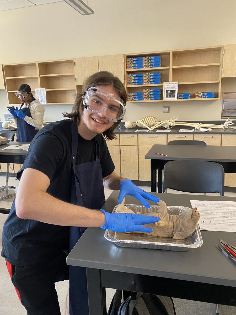 Kelly McNeary tweet media