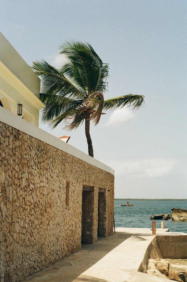 Matthew Dea tweet media