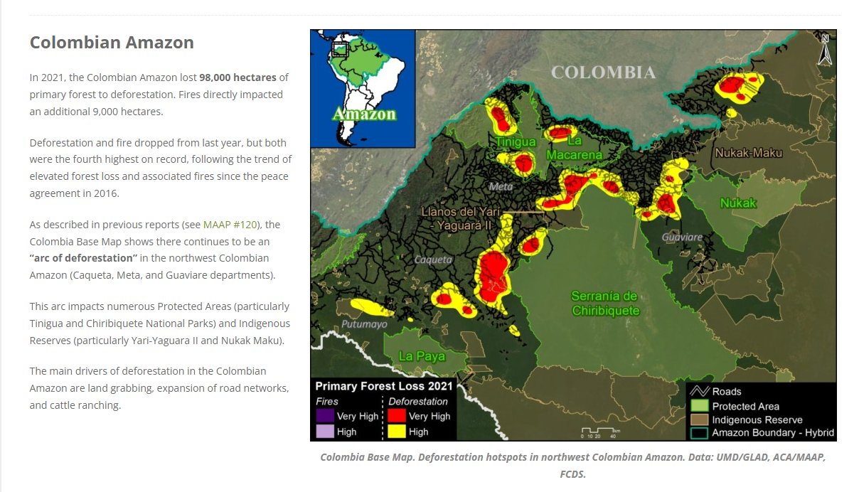 Oli Griffin A Report From Aca Dc Finds Colombia Lost 98 000 Hectares Of Amazon Forest Last Year Official Figures For Deforestation In Found 109 302 Hectares Were Deforested In Colombia S Amazon