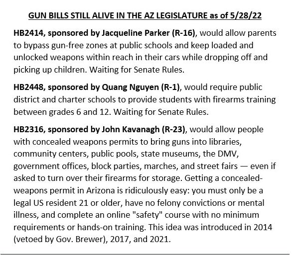 PimaDems's tweet photo. Gun Bills in the AZ Legislature as we speak. Guns in libraries, parents with guns at School Drop Off, and forced gun training for kids in all schools. Go to @AZCEBVus for more info and so to sign up for their super helpful newsletter. #GunTerror #AZGunTerror #GunReform #AZleg https://t.co/9Tqz6KED8V