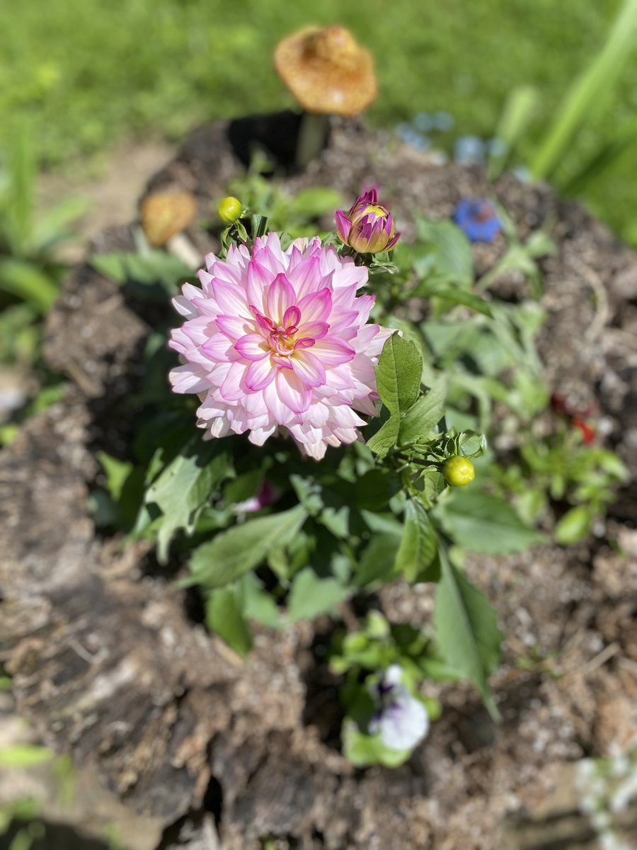 ingraham_emily's tweet photo. Beautiful day on my last day of vacation🥰 https://t.co/cbKVh5x7yQ