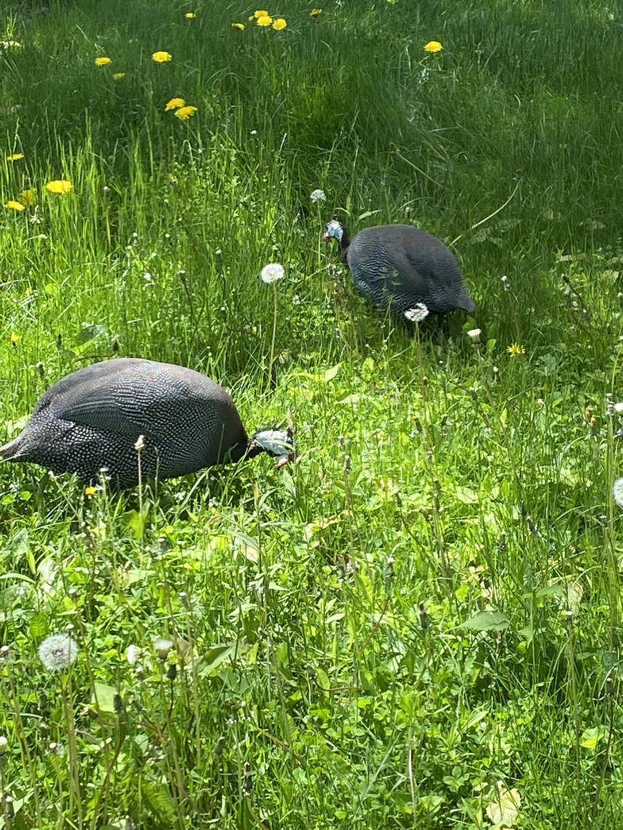 ingraham_emily's tweet photo. Beautiful day on my last day of vacation🥰 https://t.co/cbKVh5x7yQ