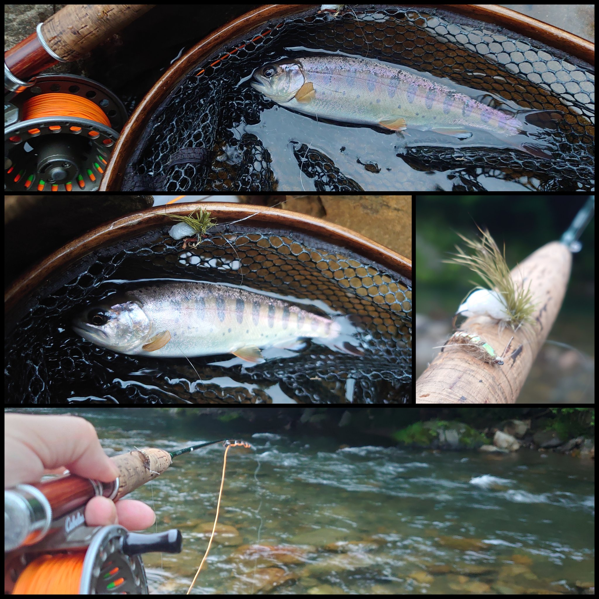 Inukorih 夕釣行 葛野川 水温17 2 減水 濁りなし ヤマメ 明日の鮎釣り解禁のため 川辺の駐車場は釣り人で賑わっている 混雑を避け少し上流に入渓 既に薄暗く波立つ川面に 10の白いボディのフライを乗せた ヤマメは水面を割って出た フライ