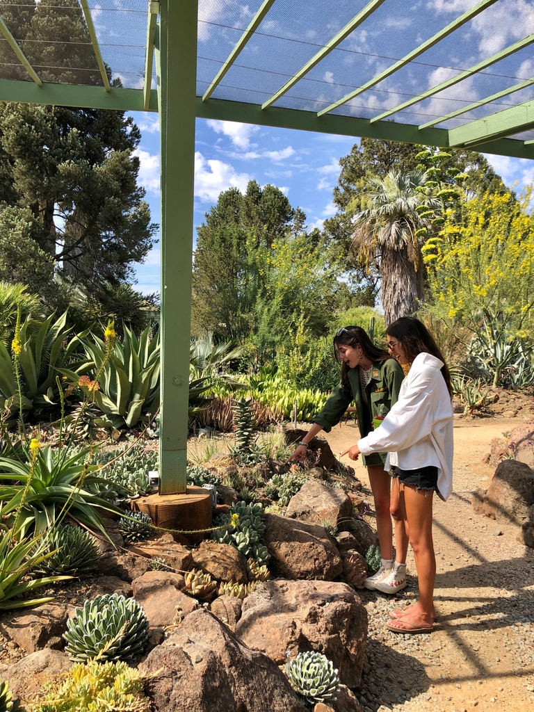 Tomorrow is Bring A Friend for FREE Day! Every first Wednesday of the month Members can bring a friend, family member, or loved one to the Garden anytime from 9am-4pm. 🌵

Please bring your membership card and form of ID with you.