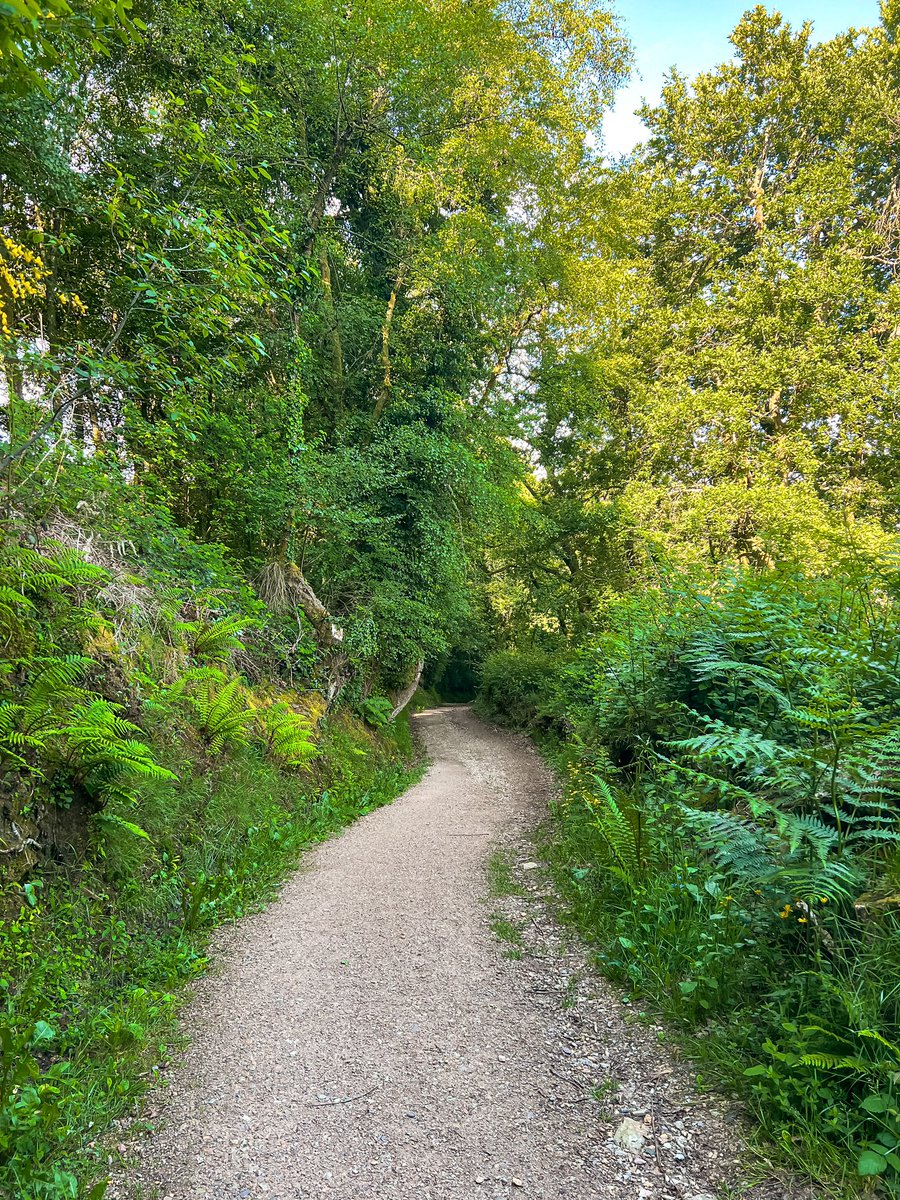 _marialenava's tweet photo. Camino ways🚶‍♀️ https://t.co/gVi6Nk3oIw