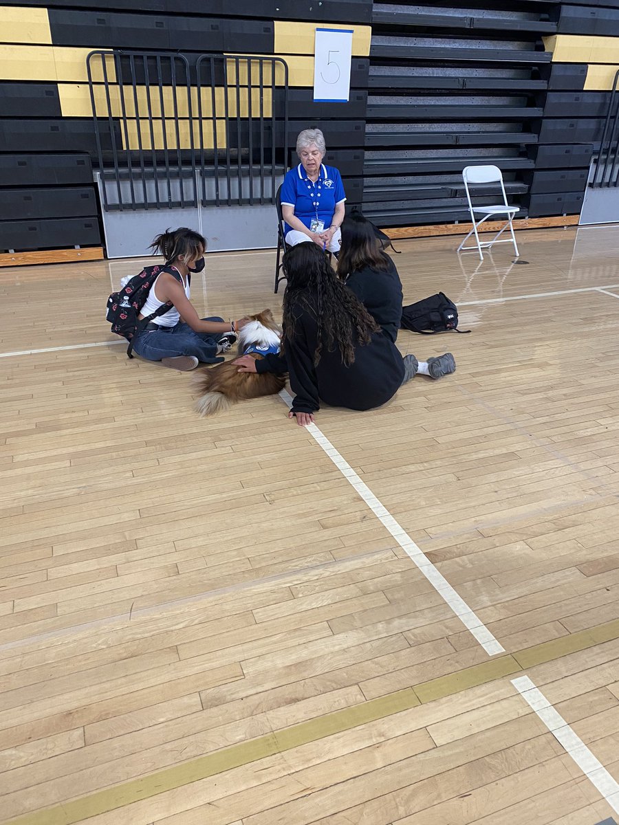 Carol Ann tweet media