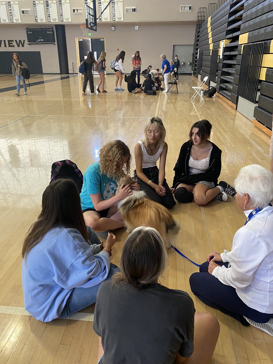 Carol Ann tweet media