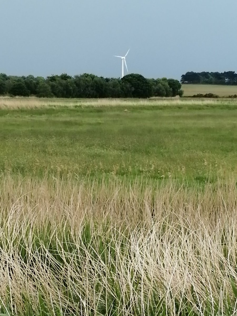 RecyclerBill's tweet image. The irony of new &amp;amp; old technologies.
A #Norfolkbroads #Windpump a bit battered &amp;amp; replaced by an electric powered pump driven by power lines from a modern #windturbine from across the Marsh! (both photos, taken from the sane spot)