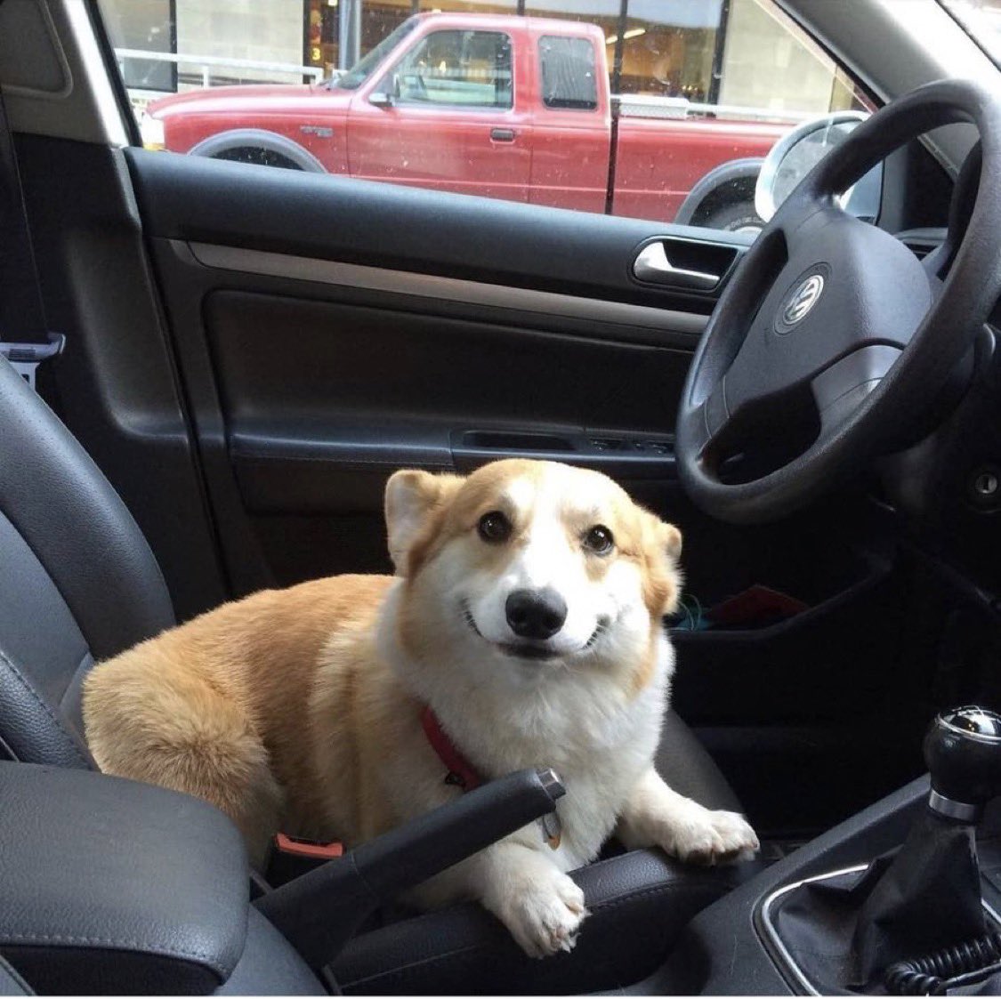 When u get a cute Lyft driver