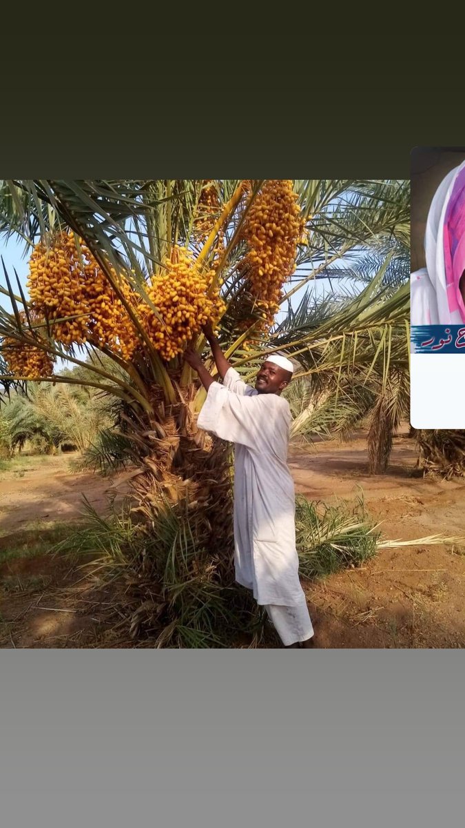 السلام عليكم مساء الخير علك