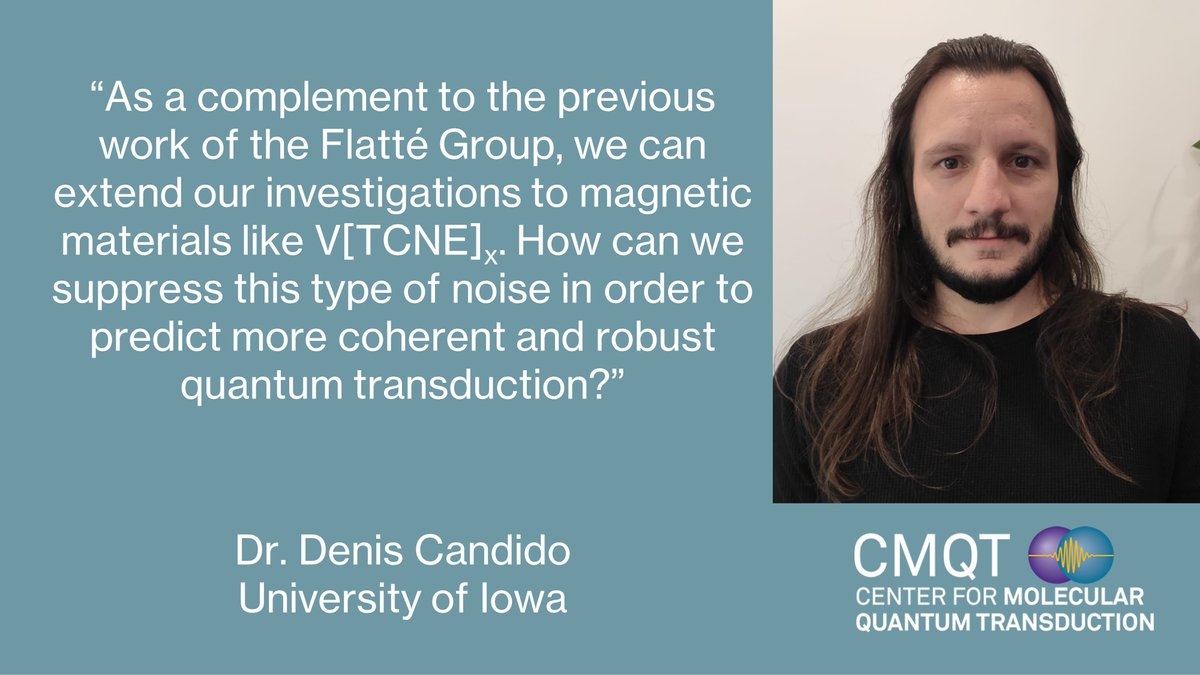 Post-doc Dr. Denis Candido (<a href="/DenisRCandido1/">Denis R Candido</a>) has spent his time in the Flatté Group (<a href="/MichaelFlatte/">Michael Flatté</a>) characterizing the possible sources of noise at the surface of a diamond. With CMQT, he moves further to magnetic materials:
