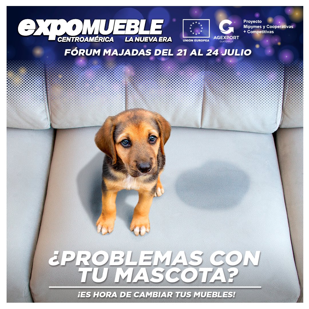 Lo accidentes pasan. No te preocupes, hay solución.​​
En Expomueble encontrarás el mejor mobiliario para que disfruten sin preocupaciones todos los integrantes de tu hogar.
- Amplio parqueo​
- Food trucks​
- Nueva ubicación ​
- Pet friendly​.
#Expomueble2022​. 

<a href="/AGEXPORTGT/">AGEXPORT</a>