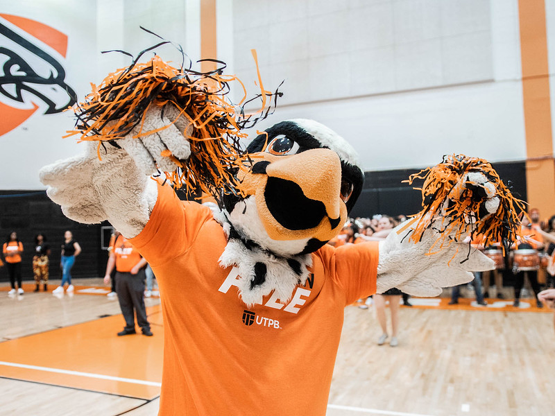 utpb's tweet photo. Our Financial Aid team has started awarding funding for current students. This includes FALCON FREE and other general scholarships.  

Be sure to check your student portal this week. You will have to log-in and accept your financial aid for the funding to hit your account. https://t.co/7F5yVtvVFq