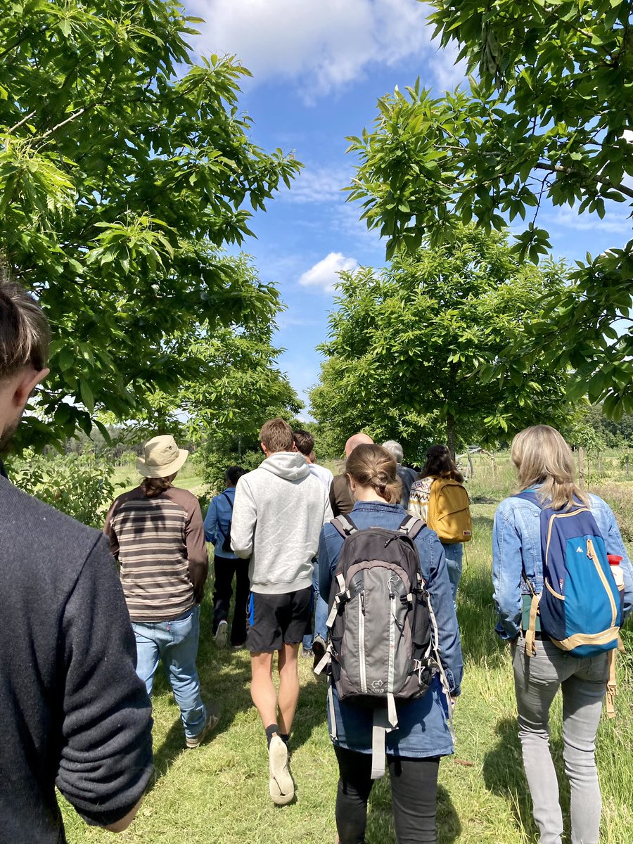 AgroforestryVL's tweet photo. Bij boomkeuze is de bodemsoort doorslaggevend. Tamme kastanje doet het uitstekend op een droge zandbodem, notenbomen vragen er veel nazorg. Boeiend bedrijfsbezoek aan de @Kwaalburgsehoeve in Brabant Nederland, natuurherstellende landbouw @GOBBrabant. Bedankt @FARMLIFE20 https://t.co/sD5tr2l3vG