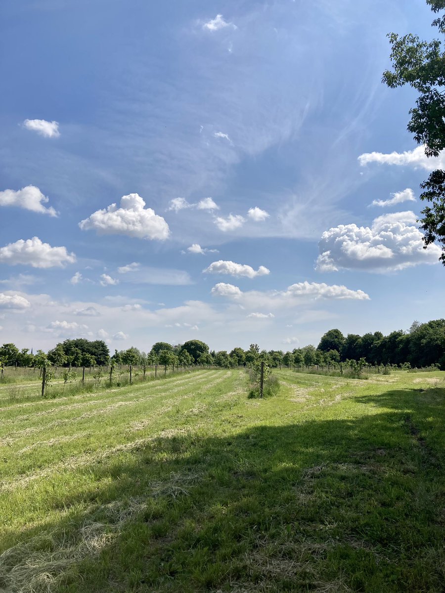 Bij boomkeuze is de bodemsoort doorslaggevend. Tamme kastanje doet het uitstekend op een droge zandbodem, notenbomen vragen er veel nazorg. Boeiend bedrijfsbezoek aan de @Kwaalburgsehoeve in Brabant Nederland, natuurherstellende landbouw @GOBBrabant. Bedankt <a href="/FARMLIFE20/">FARM LIFE</a>