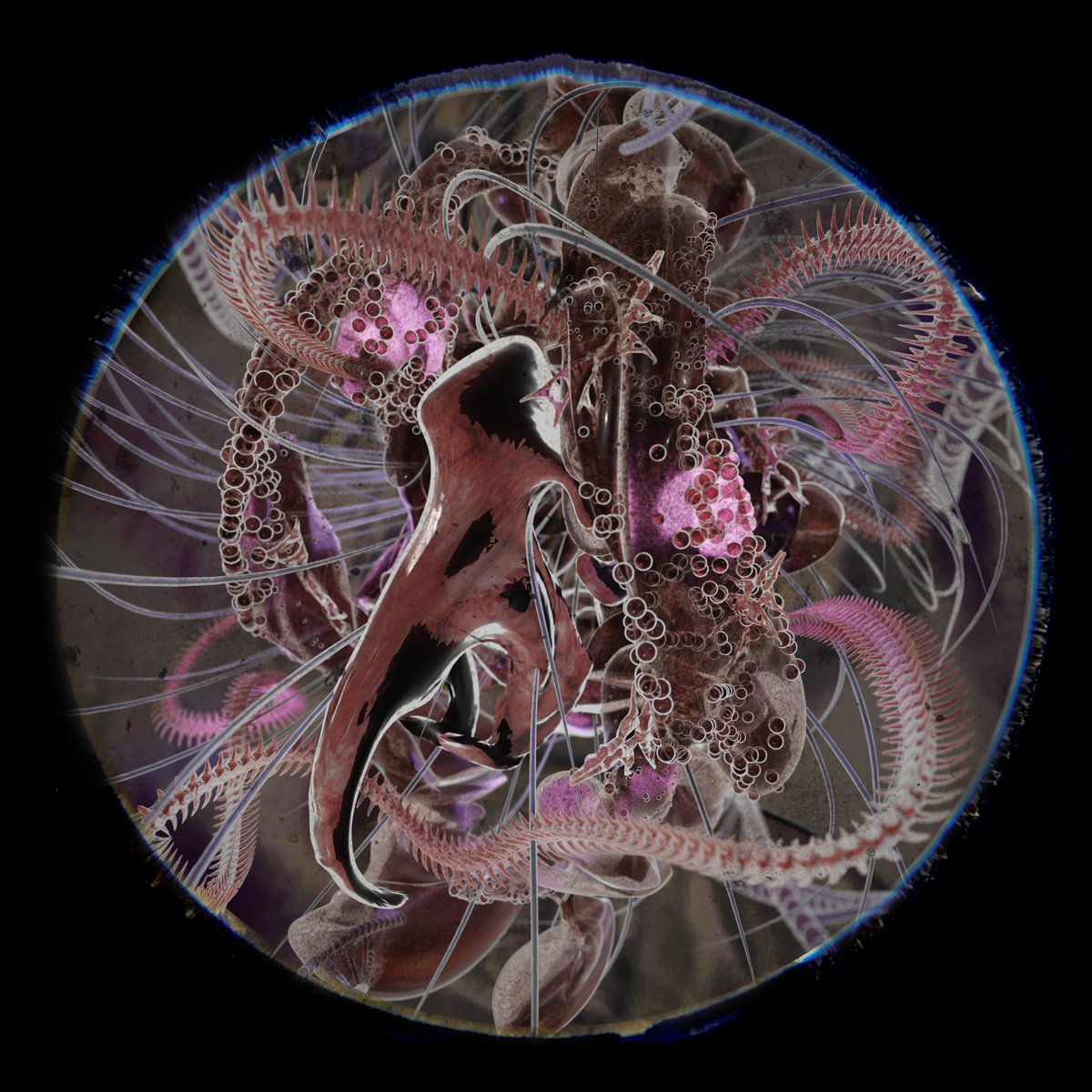 Sanj0nas's tweet photo. "Science of (Spontaneous) Life"
Date: March 20th, 1936
This is the first time we've seen organisms that have been transplanted. Take a look at these gorgeous, somehow it’s like a skull. It's extraordinary.
#MicroEarthlings
https://t.co/luHQstXiH9 https://t.co/oQn739BrDJ