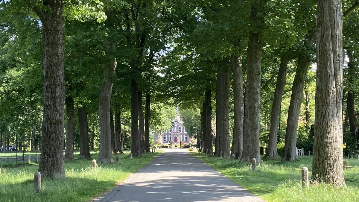 mveldhuis76's tweet photo. Een heerlijke wandeling bij #Biljoen en een randje #Beekhuizen was het… waar erfgoed, water en natuur samenkomt. 

#erfgoed #landgoed #natuur #veluwezoom #grondwater #dprengenbeek https://t.co/9wFHtZZEBt